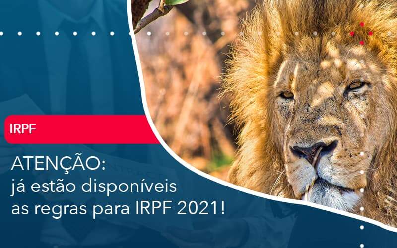 Ja Estao Disponiveis As Regras Para Irpf 2021 Organização Contábil Lawini - SINALLA