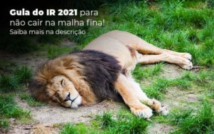 Guia Ir 2021 Para Nao Cair Na Malha Fina Saiba Mais Na Descricao Post 1 Organização Contábil Lawini - SINALLA