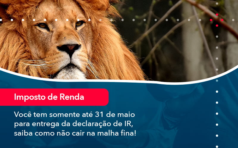 Voce Tem Somente Ate 31 De Maio Para Entrega Da Declaracao De Ir Saiba Como Nao Cair Na Malha Fina 1 - SINALLA